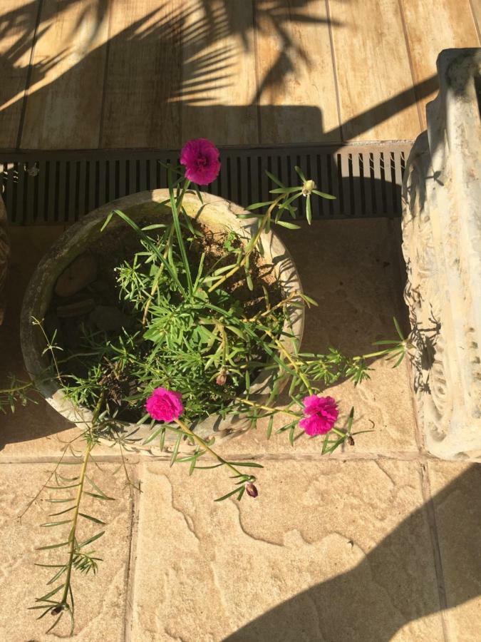 Pousada Florestinha Tamoios Exteriér fotografie